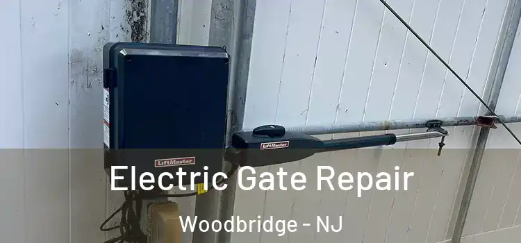 Electric Gate Repair Woodbridge - NJ